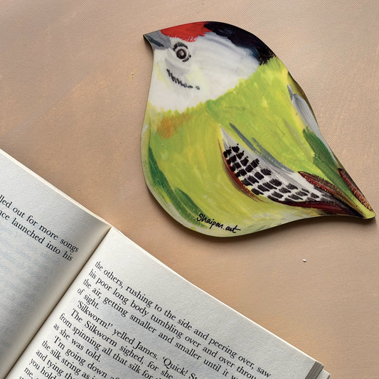 Coppersmith Bird coaster